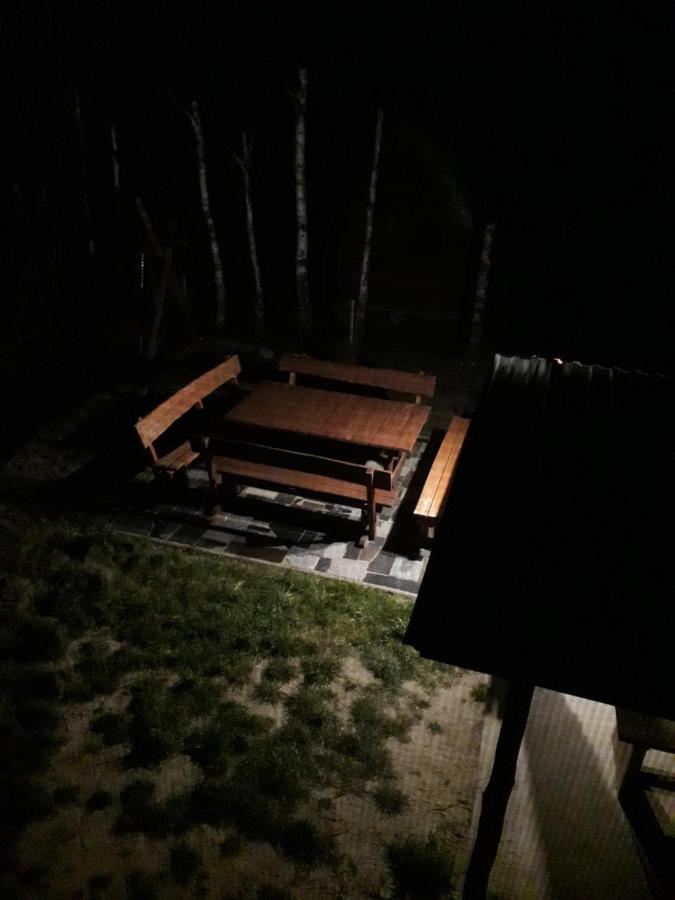 Hacjenda Lesny Zaulek Apartment Wlodawa Bagian luar foto